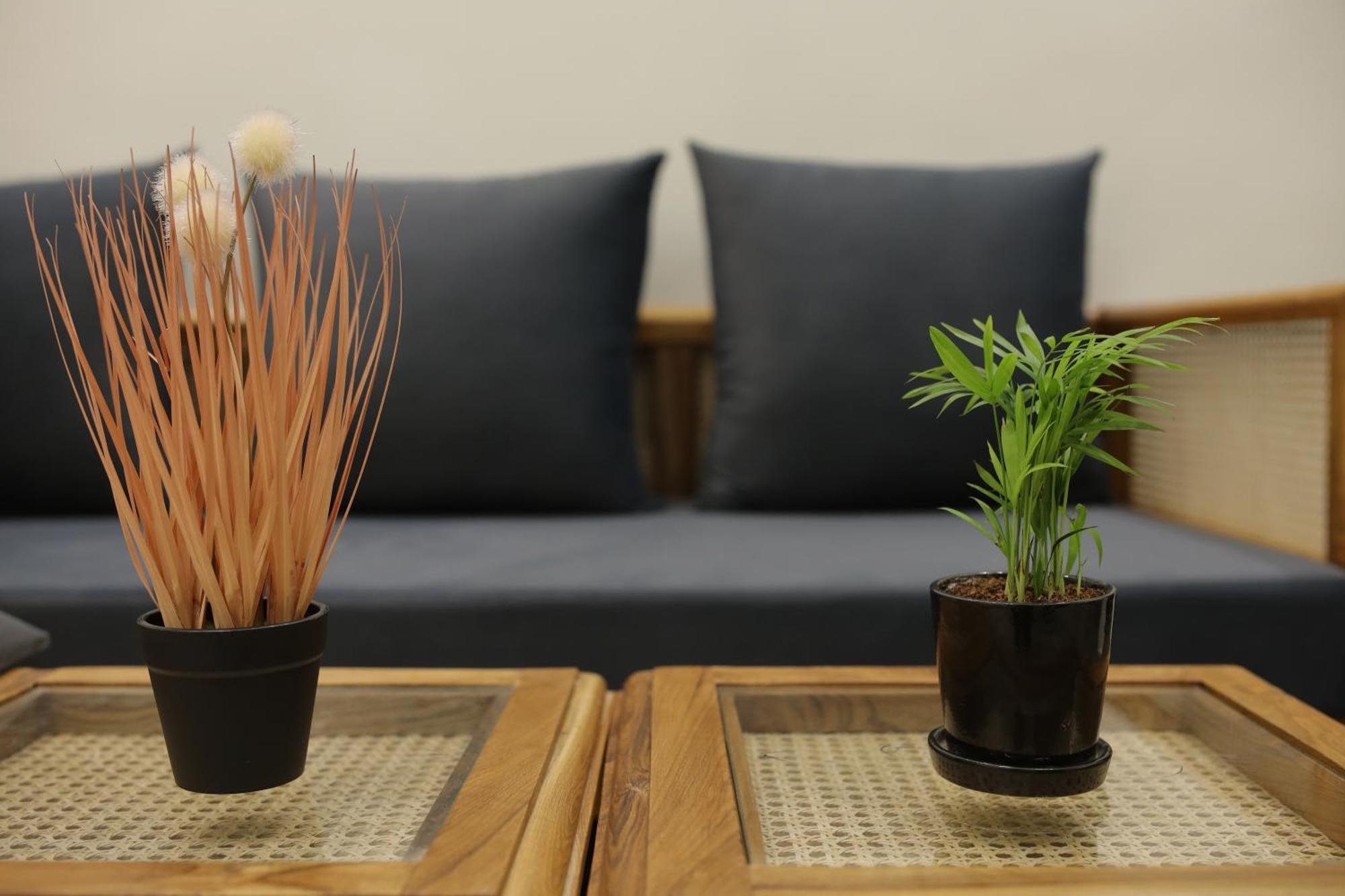 Narayana Homes マトゥラー エクステリア 写真
